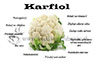 Karfiol