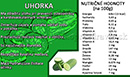 Uhorka